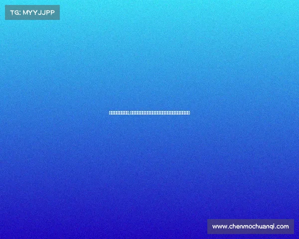 棋类国际赛事流程,棋类国际赛事全流程深度解析从筹备到实施的完整指南